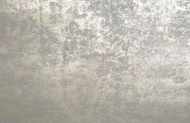картинка Пол из архитектурного бетона Argento