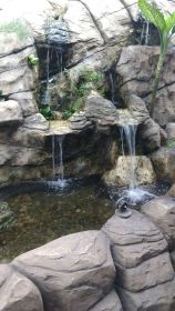 картинка Пруд с водопадом Doppio 23.03